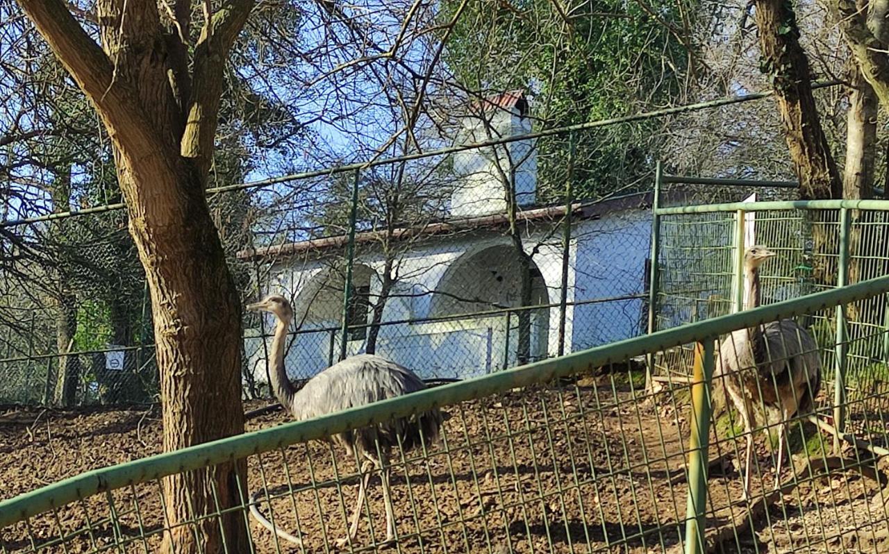 Polonezkoey Country Club & Accommodation In The Wildlife Park! Istanbul Exterior photo