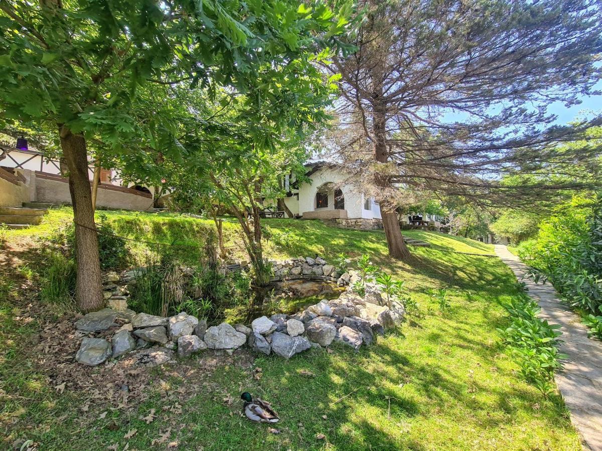 Polonezkoey Country Club & Accommodation In The Wildlife Park! Istanbul Exterior photo