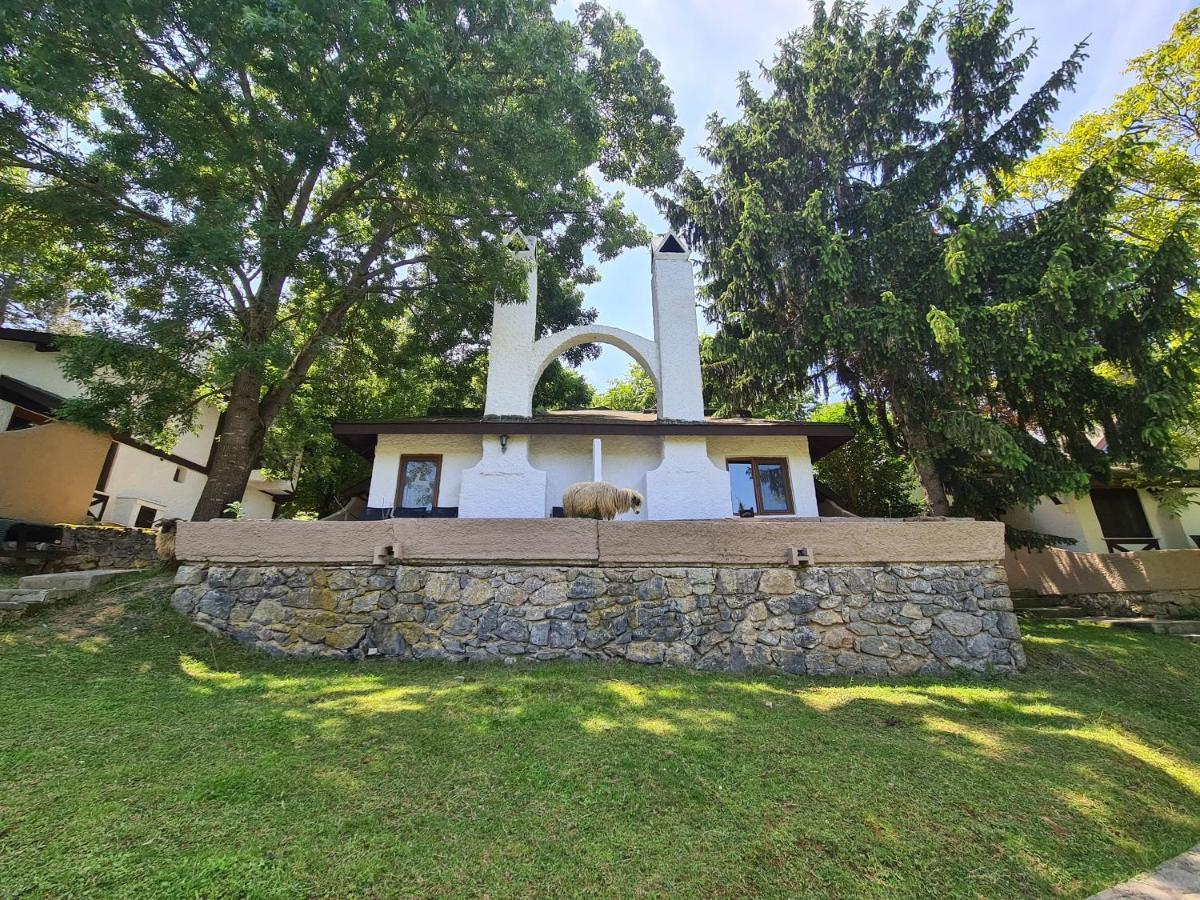 Polonezkoey Country Club & Accommodation In The Wildlife Park! Istanbul Exterior photo