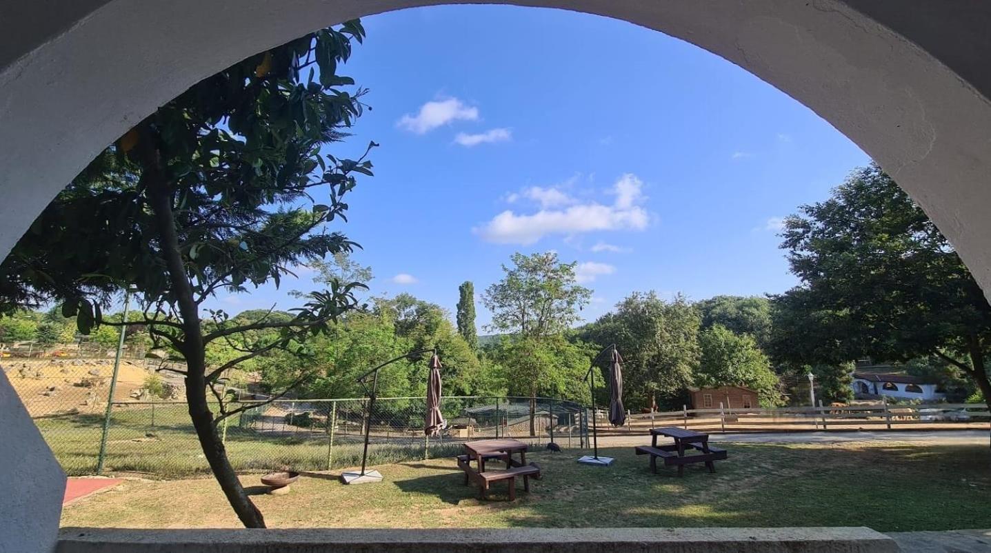Polonezkoey Country Club & Accommodation In The Wildlife Park! Istanbul Exterior photo